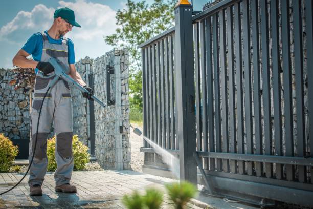 Best Soft Washing for Delicate Surfaces in Walcott, IA